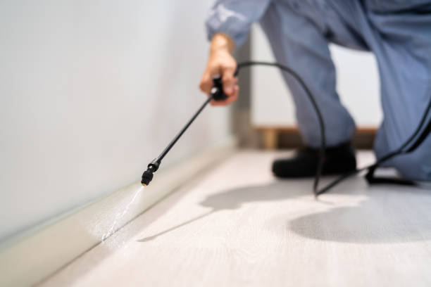 Licensed Exterminator service in Cutlerville, MI - Show Me Pest Control