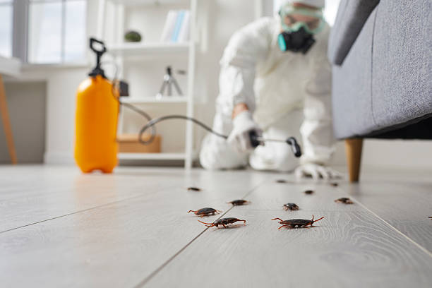 Commercial Kitchen Cockroach Control in Cutlerville